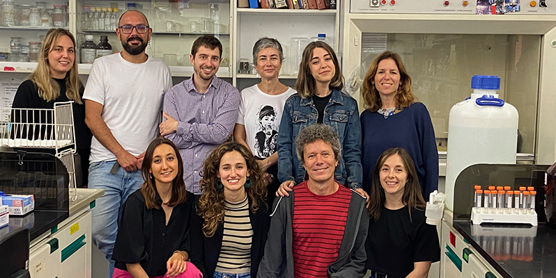 Investigadores UCM desvelan nuevos mecanismos de acción del sistema endocannabinoide en epilepsia y cáncer de mama